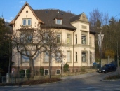 Mitose